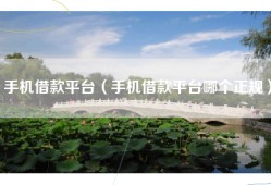 手机借款平台（手机借款平台哪个正规）
