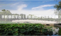 手机借款平台（手机借款平台哪个正规）