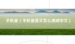 手机是（手机是英文怎么调成中文）