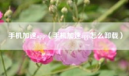 手机加速app（手机加速app怎么卸载）
