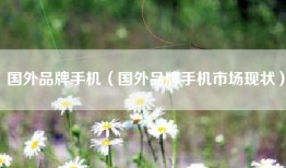国外品牌手机（国外品牌手机市场现状）