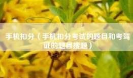 手机扣分(手机扣分考试的题目和考驾证的题目搜题)