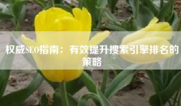 权威SEO指南：有效提升搜索引擎排名的策略