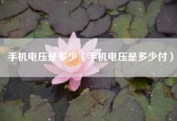 手机电压是多少（手机电压是多少付）