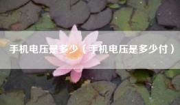 手机电压是多少（手机电压是多少付）