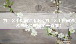 为什么手机闹钟不响（为什么手机闹钟不响一会就停了,一直响）
