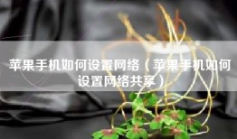苹果手机如何设置网络（苹果手机如何设置网络共享）