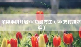 苹果手机开启NFC功能方法（NFC支付技术篇）