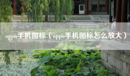 oppo手机图标（oppo手机图标怎么放大）