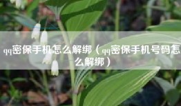 qq密保手机怎么解绑（qq密保手机号码怎么解绑）