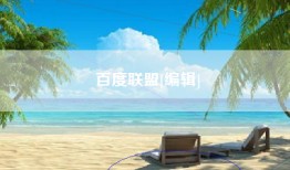百度联盟[编辑]