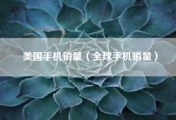 美国手机销量（全球手机销量）