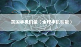 美国手机销量（全球手机销量）