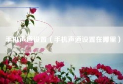 手机声道设置（手机声道设置在哪里）