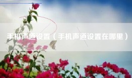 手机声道设置（手机声道设置在哪里）