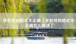 手机号码格式不正确（手机号码格式不正确怎么解决）