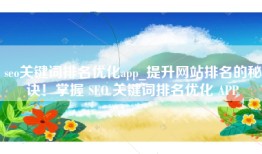 seo关键词排名优化app_提升网站排名的秘诀！掌握 SEO 关键词排名优化 APP