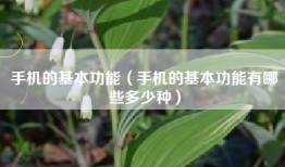 手机的基本功能（手机的基本功能有哪些多少种）