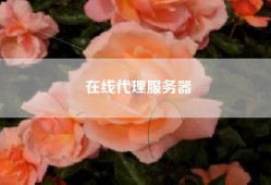 在线代理服务器