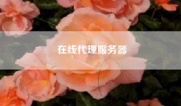 在线代理服务器