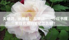 关键词、长尾词、品牌词——小红书搜索排名高的笔记怎么做？