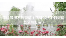手机号搜不到微信（手机号搜不到微信怎么加好友）