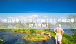 查询苹果手机激活时间（如何查询苹果激活时间）