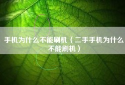 手机为什么不能刷机（二手手机为什么不能刷机）