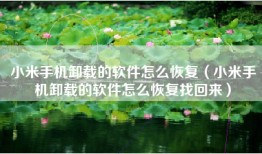 小米手机卸载的软件怎么恢复(小米手机卸载的软件怎么恢复找回来)