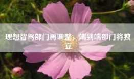 理想智驾部门再调整，端到端部门将独立