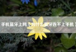 手机蓝牙上网（为什么蓝牙连不上手机）