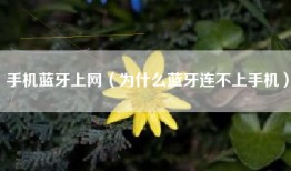 手机蓝牙上网（为什么蓝牙连不上手机）