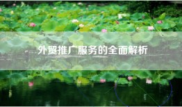 外贸推广服务的全面解析