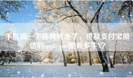 手机滴一下钱就转走了，挑战支付宝微信的apple pay能有多牛X？
