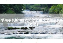 苹果手机的id格式（怎么更改苹果手机的id名称）