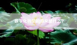 数字化转型的意义是什么？