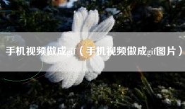 手机视频做成gif（手机视频做成gif图片）