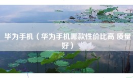 毕为手机（华为手机哪款性价比高 质量好）