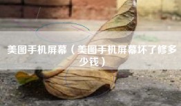 美图手机屏幕（美图手机屏幕坏了修多少钱）