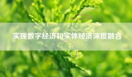 实现数字经济和实体经济深度融合
