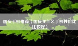 国庆手机推荐(国庆买什么手机性价比比较好)