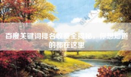 百度关键词排名收费全揭秘，你想知道的都在这里