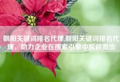 朝阳关键词排名代理,朝阳关键词排名代理，助力企业在搜索引擎中脱颖而出