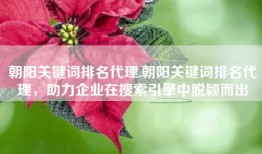 朝阳关键词排名代理,朝阳关键词排名代理，助力企业在搜索引擎中脱颖而出