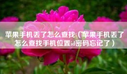 苹果手机丢了怎么查找（苹果手机丢了怎么查找手机位置id密码忘记了）