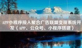 APP小程序接入聚合广告联盟变现系统开发（APP、公众号、小程序搭建）
