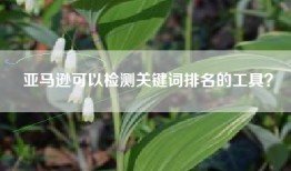亚马逊可以检测关键词排名的工具？