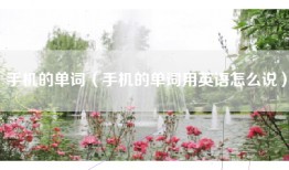 手机的单词（手机的单词用英语怎么说）