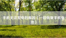手机无法充电的原因（一招恢复手机电池）