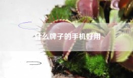 什么牌子的手机好用